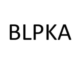 BLPKA商标原图 第25类服装鞋帽