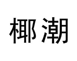 椰潮商标原图 第25类服装鞋帽