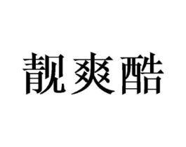 靓爽酷商标原图 第25类服装鞋帽