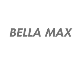 BELLA MAX商标原图 第25类服装鞋帽