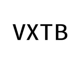 VXTB商标原图 第25类服装鞋帽