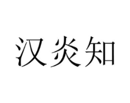 汉炎知商标原图 第25类服装鞋帽