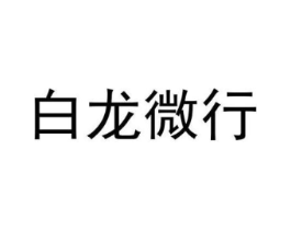 白龙微行商标原图 第25类服装鞋帽
