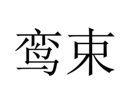 鸾束商标原图 第25类服装鞋帽