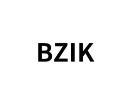 BZIK商标原图 第25类服装鞋帽