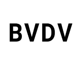BVDV商标原图 第25类服装鞋帽