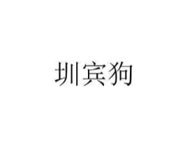 圳宾狗商标原图 第25类服装鞋帽
