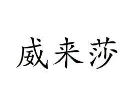 威来莎商标原图 第25类服装鞋帽