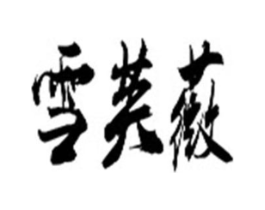 雪芙薇商标原图 第25类服装鞋帽
