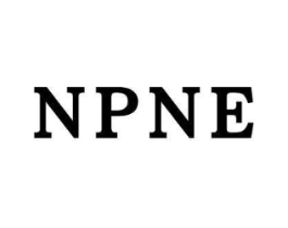 NPNE商标原图 第25类服装鞋帽