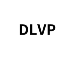 DLVP商标原图 第25类服装鞋帽
