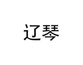 辽琴商标原图 第25类服装鞋帽
