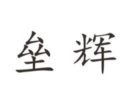 垒辉商标原图 第25类服装鞋帽