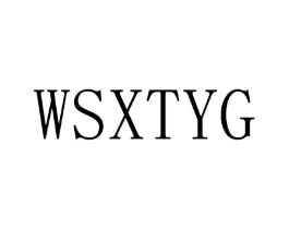 WSXTYG商标原图 第25类服装鞋帽