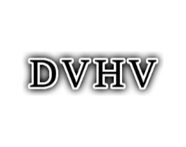 DVHV商标原图 第25类服装鞋帽