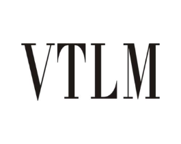 VTLM商标原图 第25类服装鞋帽