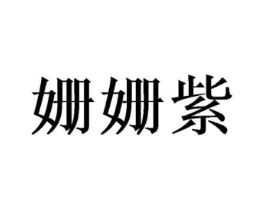 姗姗紫商标原图 第25类服装鞋帽
