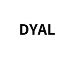 DYAL商标原图 第25类服装鞋帽
