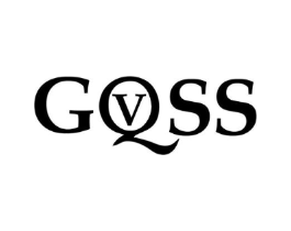 GQVSS商标原图 第25类服装鞋帽