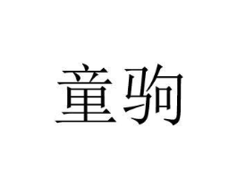 童驹商标原图 第25类服装鞋帽