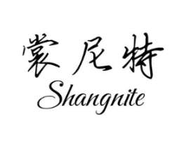 裳尼特商标原图 第25类服装鞋帽