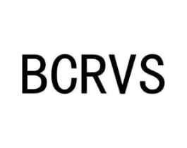 BCRVS商标原图 第25类服装鞋帽