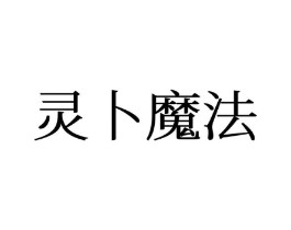 灵卜魔法商标原图 第25类服装鞋帽