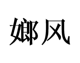 嫏风商标原图 第25类服装鞋帽