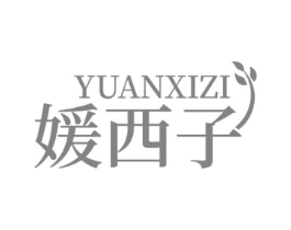 媛西子商标原图 第25类服装鞋帽