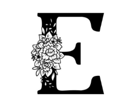 E商标原图 第25类服装鞋帽