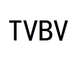 TVBV商标原图 第25类服装鞋帽