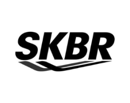 SKBR商标原图 第25类服装鞋帽