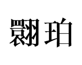 翾珀商标原图 第25类服装鞋帽