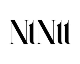 NTNTT商标原图 第25类服装鞋帽