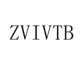 ZVIVTB商标原图 第25类服装鞋帽