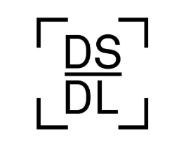 DSDL商标原图 第25类服装鞋帽
