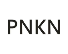 PNKN商标原图 第25类服装鞋帽