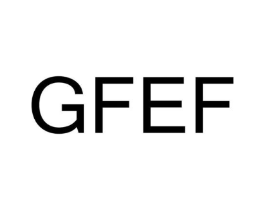GFEF商标原图 第25类服装鞋帽