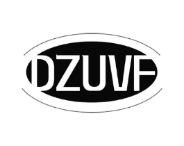 DZUVF商标原图 第25类服装鞋帽