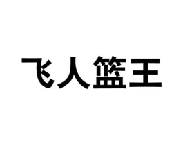 飞人篮王商标原图 第25类服装鞋帽