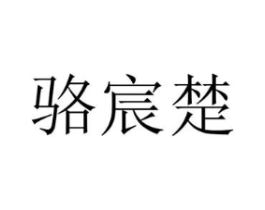 骆宸楚商标原图 第25类服装鞋帽