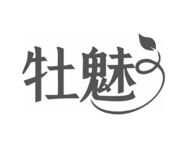 牡魅商标原图 第25类服装鞋帽