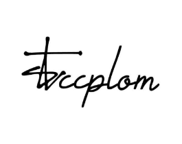 STCCPLOM商标原图 第25类服装鞋帽