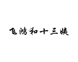 飞鸿和十三姨商标原图 第25类服装鞋帽
