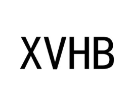 XVHB商标原图 第25类服装鞋帽
