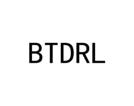 BTDRL商标原图 第25类服装鞋帽