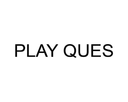 PLAY QUES商标原图 第25类服装鞋帽