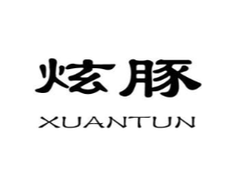 炫豚商标原图 第25类服装鞋帽