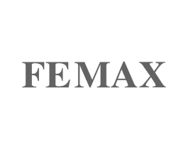 FEMAX商标原图 第25类服装鞋帽