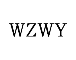 WZWY商标原图 第25类服装鞋帽